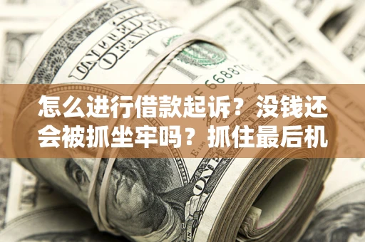 北京怎么进行借款起诉？没钱还会被抓坐牢吗？抓住最后机会！