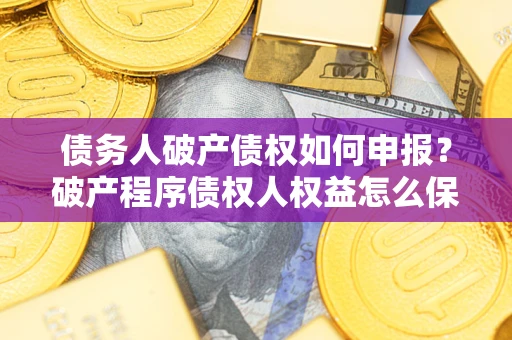 北京债务人破产债权如何申报？破产程序债权人权益怎么保障？