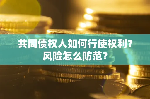 北京共同债权人如何行使权利？风险怎么防范？
