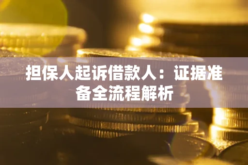 北京担保人起诉借款人：证据准备全流程解析